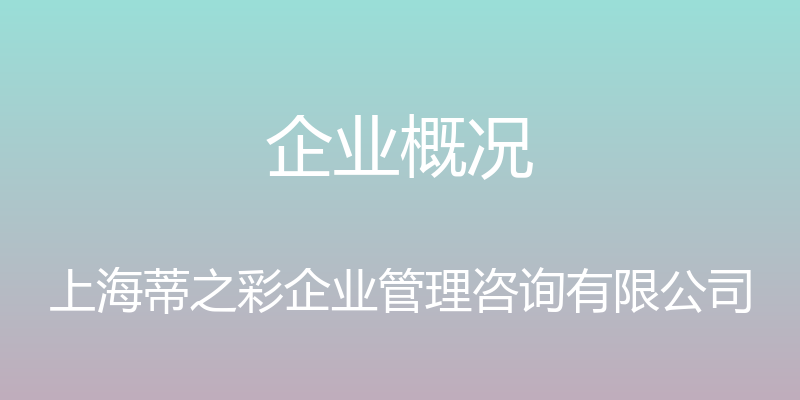 企业概况 - 上海蒂之彩企业管理咨询有限公司